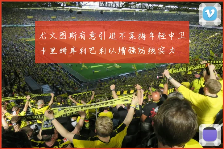 尤文图斯有意引进不莱梅年轻中卫卡里姆库利巴利以增强防线实力